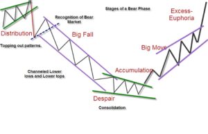 Bull Market: Identifying Stocks and Riding the Trend - Blog by Tickertape