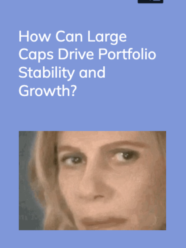 How Can Large Caps Drive Portfolio Stability and Growth?