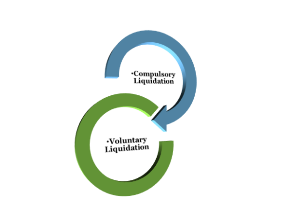 Liquidation Meaning Types Process With Examples Glossary By   Image 5 300x216@2x 